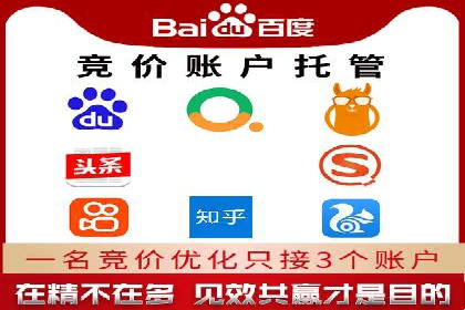 专业SEM托管助力企业快速成长案例分析